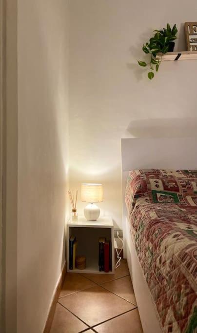 “A Ca Di Amelia” Apartment Savona Bagian luar foto