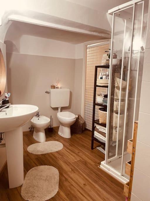 “A Ca Di Amelia” Apartment Savona Bagian luar foto